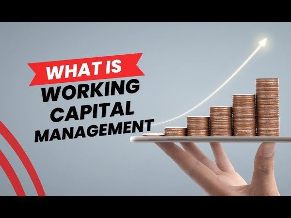 ما هو رأس المال العامل ؟ وما فائدتة ؟